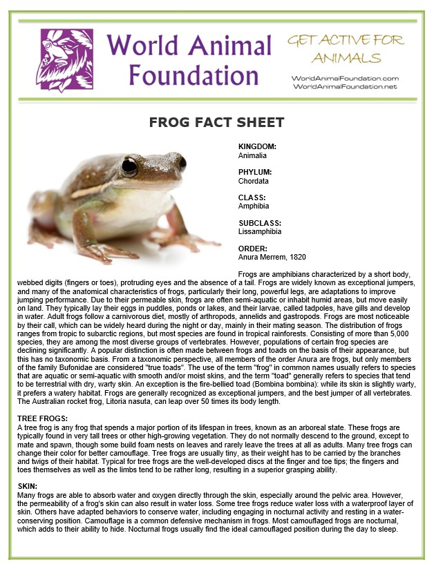 frog fact sheet