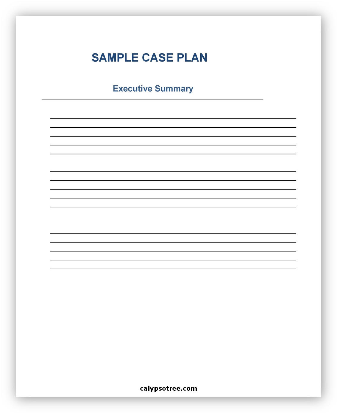 Business Case Sample 08