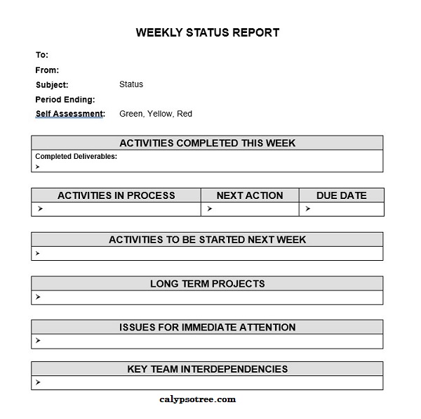 Weekly report status template