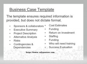 12 Best Business Case Template And How To Write - Calypso Tree