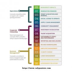 12 Best Business Case Template And How To Write - Calypso Tree