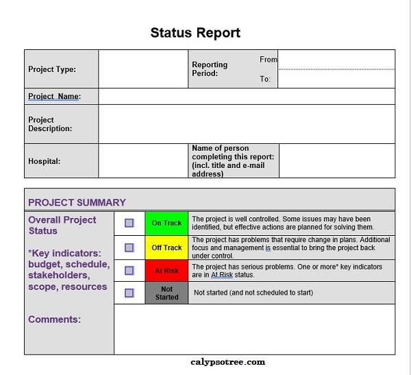 Status Report Template Word