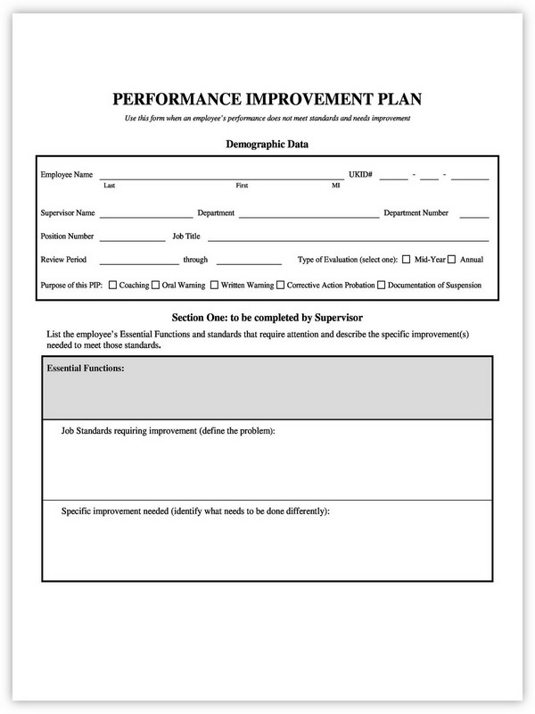 Sample Performance Improvement Plan Template 10