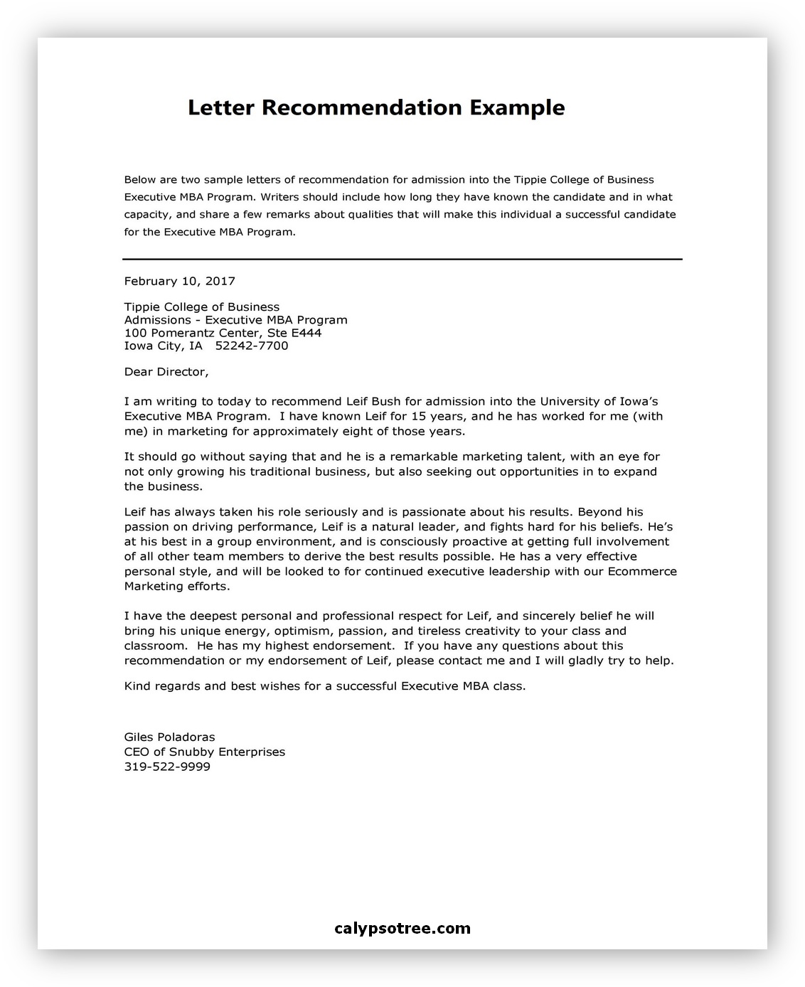Letter Recommendation Example 04