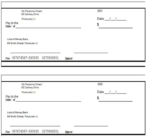 Blank Check Examples 06