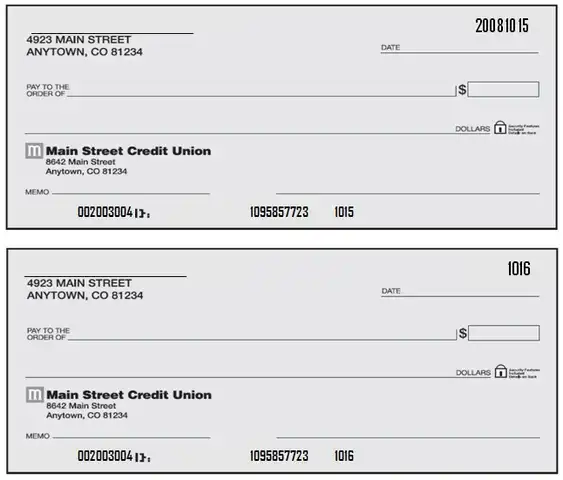 Blank Check Examples 12