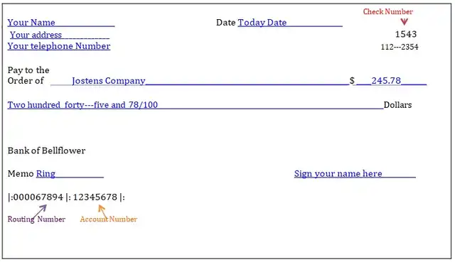 Blank Check Examples 14