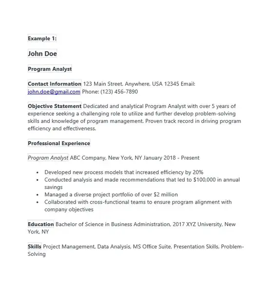 Program Analyst Resume Examples 01