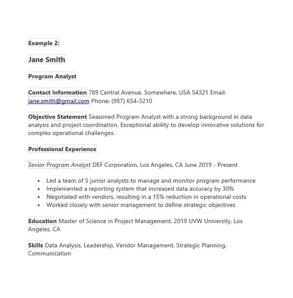 Program Analyst Resume Examples 02