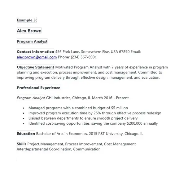 Program Analyst Resume Examples 03