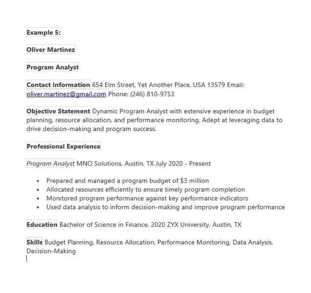 Program Analyst Resume Examples 05