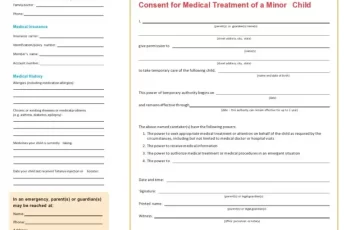 Free Child Travel Consent Form Example (PDF & Word)