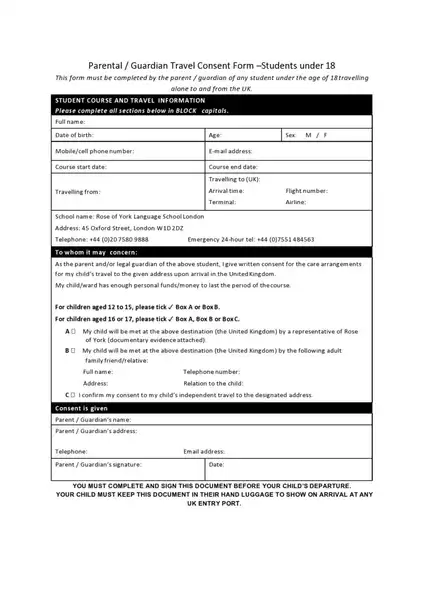 child travel consent form example 21