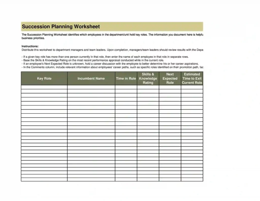Examples of Succession Planning Templates 12