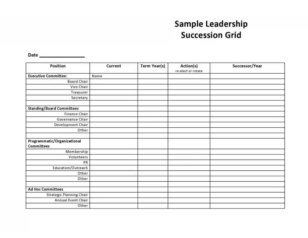 Examples of Succession Planning Templates 19