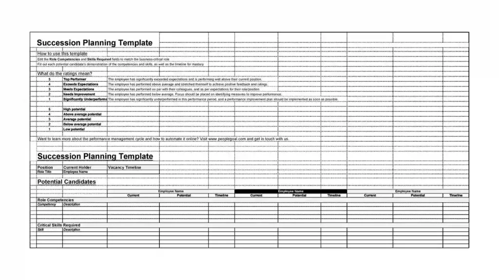 Examples of Succession Planning Templates 28