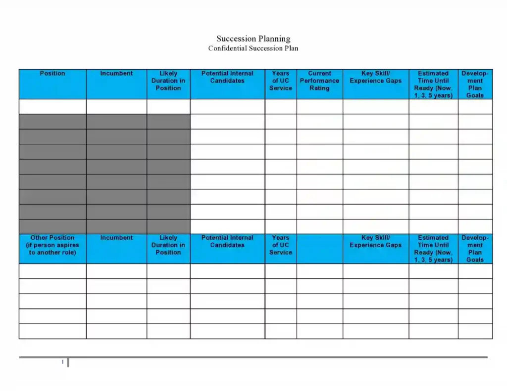 Examples of Succession Planning Templates 29