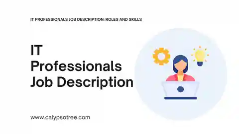 IT Professionals Job Description Visual Presentation