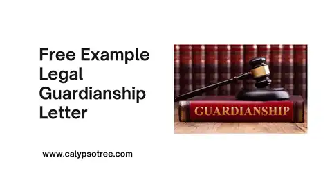 Example Legal Guardianship Letter Presentation